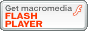 flashplayer_E[h